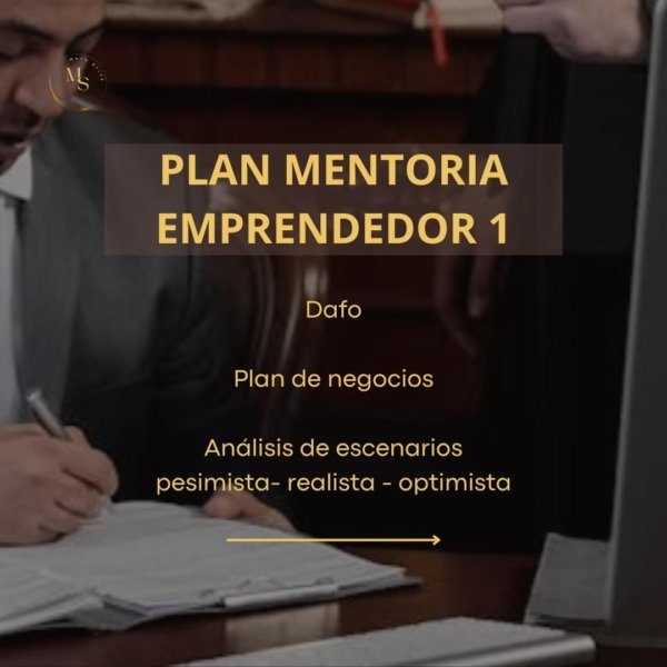 Plan Mentoría Emprendedor 1